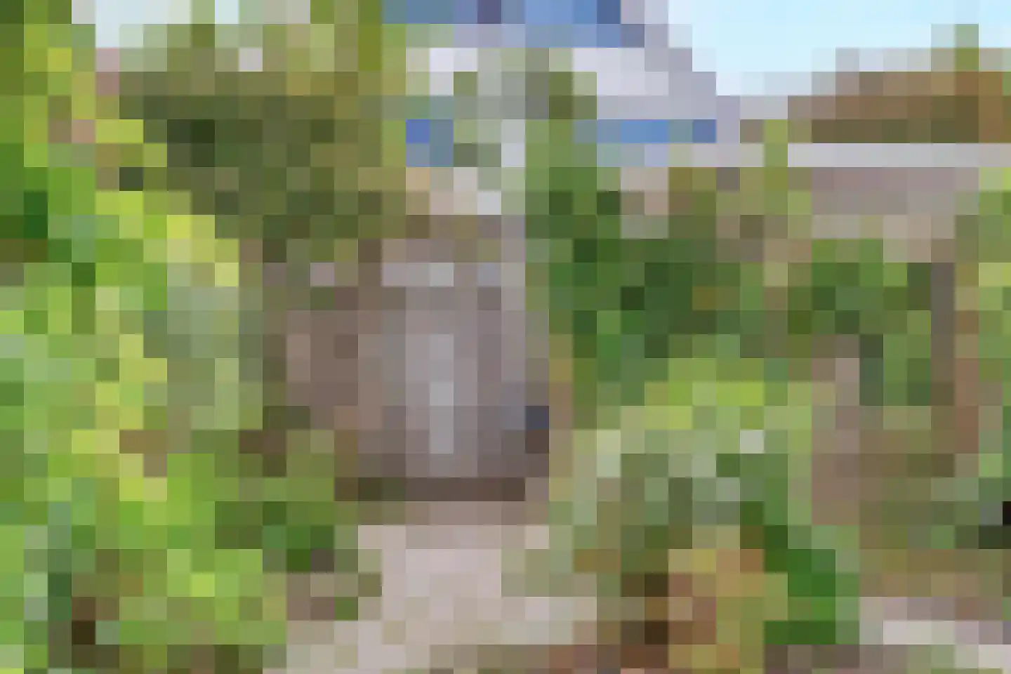 Voorhaven 13 Den Hoorn thumbnail 15