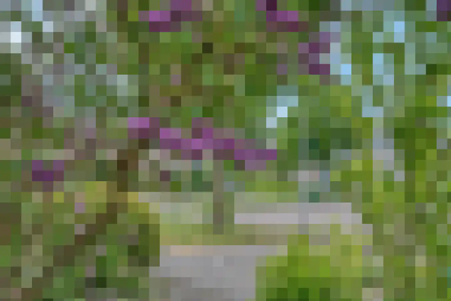 Voorhaven 13 Den Hoorn thumbnail 20