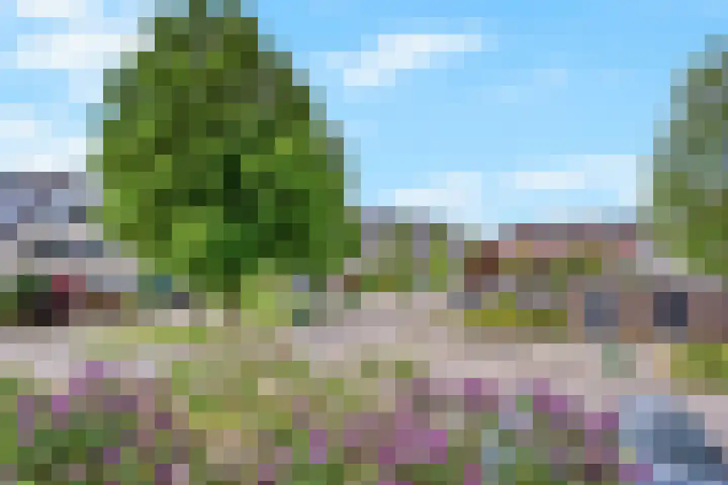 Voorhaven 13 Den Hoorn thumbnail 38