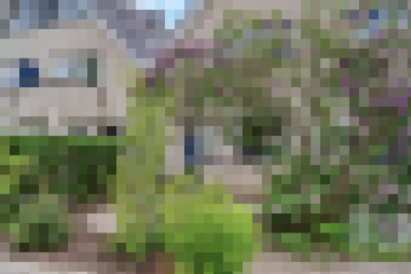 Voorhaven 13 Den Hoorn thumbnail 5