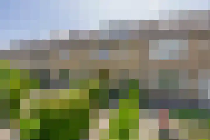 Voorhaven 134 Rotterdam thumbnail 20