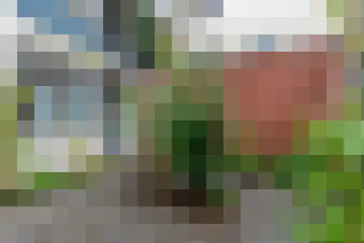 Voorhaven 147 Rotterdam thumbnail 16