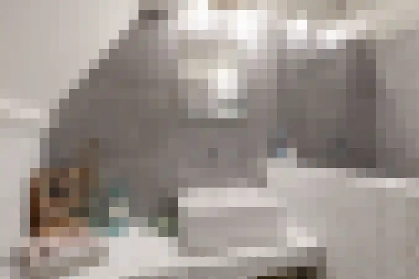 Voorhaven 18 Edam thumbnail 27