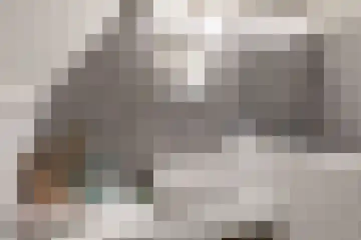 Voorhaven 18 Edam thumbnail 27