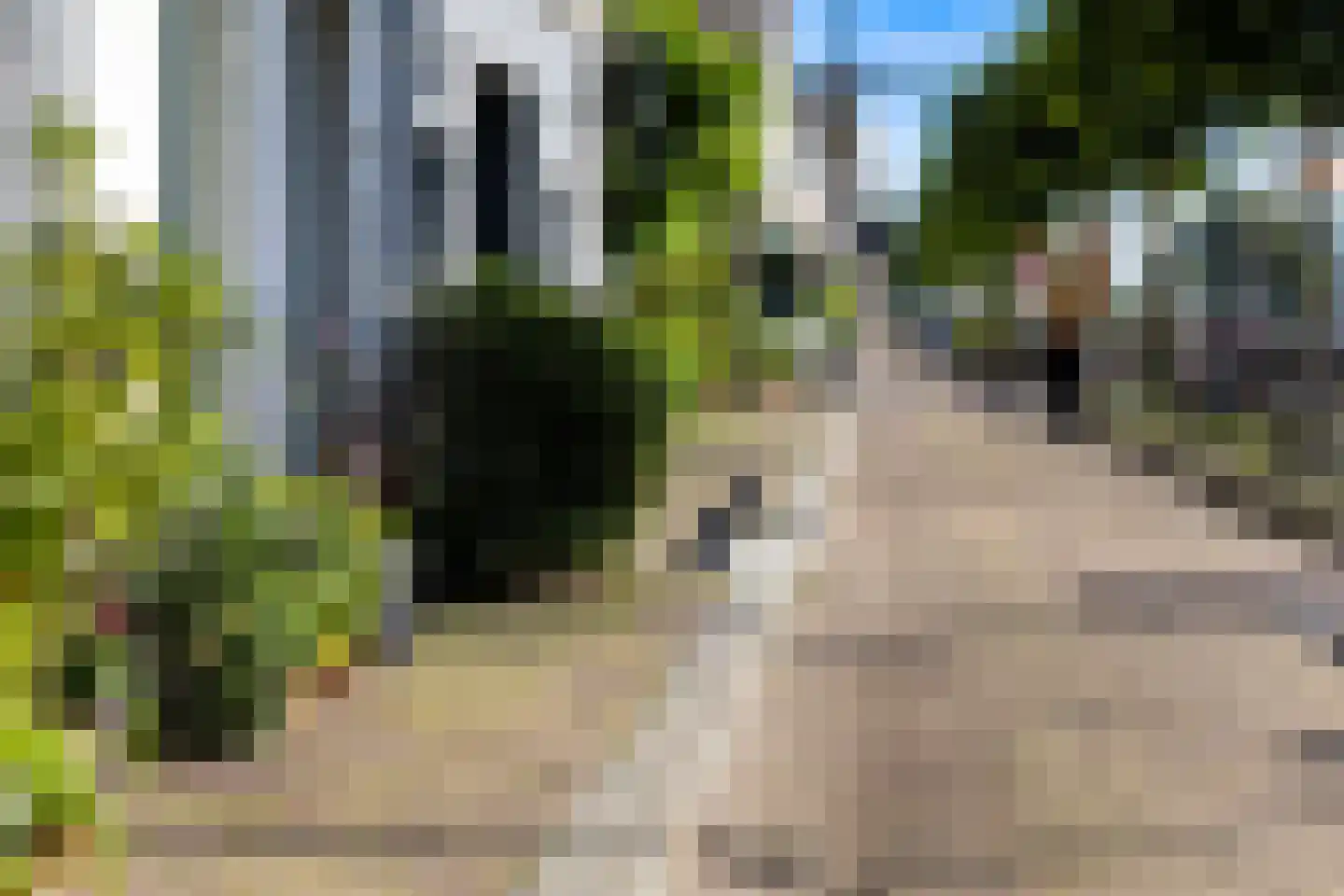 Voorhaven 20 A Rotterdam thumbnail 45