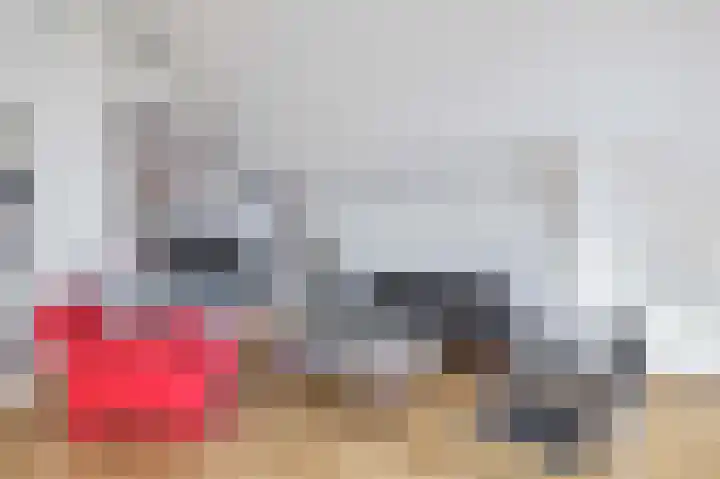 Voorhaven 24 Rotterdam thumbnail 17