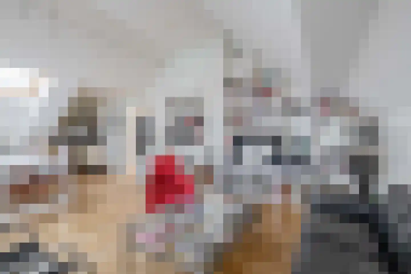 Voorhaven 24 Rotterdam thumbnail 18