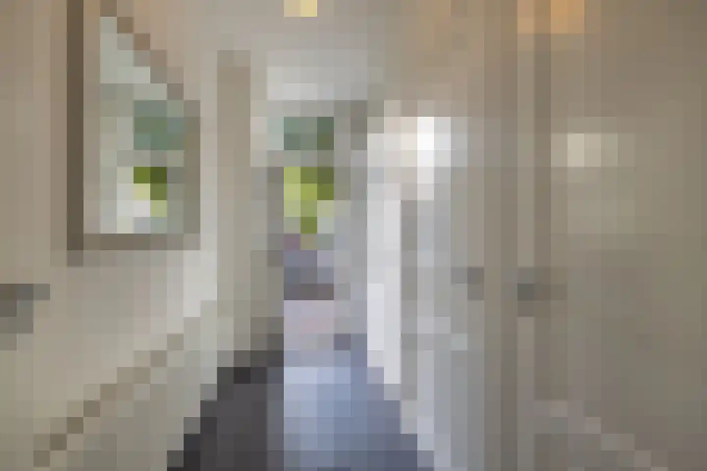 Voorhaven 35 A Rotterdam thumbnail 22