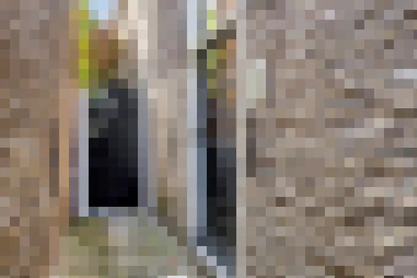 Voorhaven 39 a Edam thumbnail 7