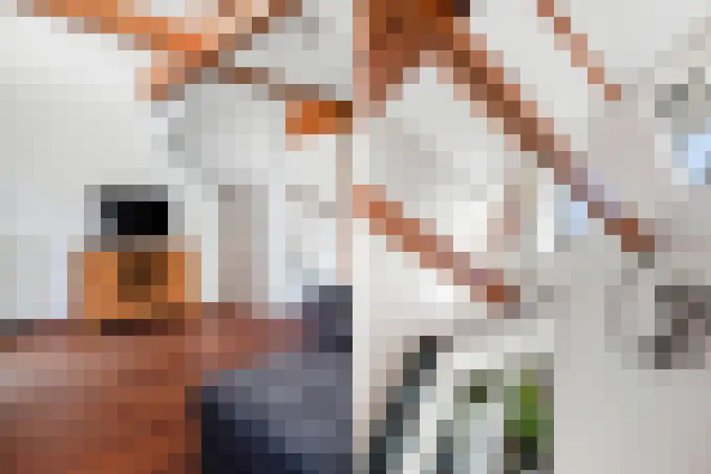 Voorhaven 41 d Edam thumbnail 11