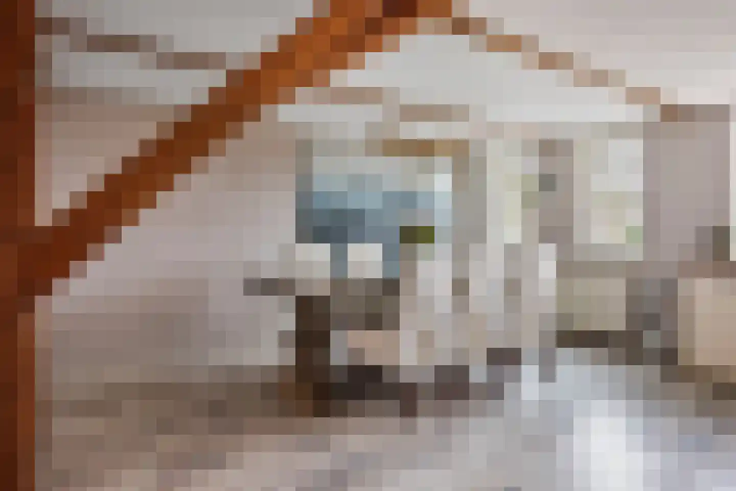 Voorhaven 41 d Edam thumbnail 15
