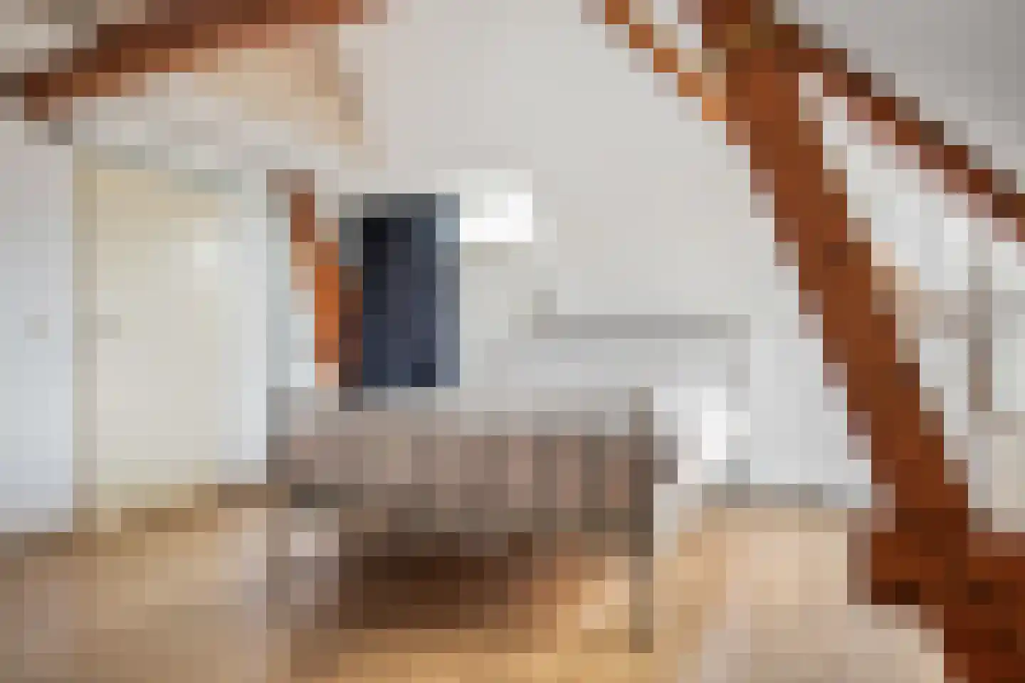 Voorhaven 41 d Edam thumbnail 40