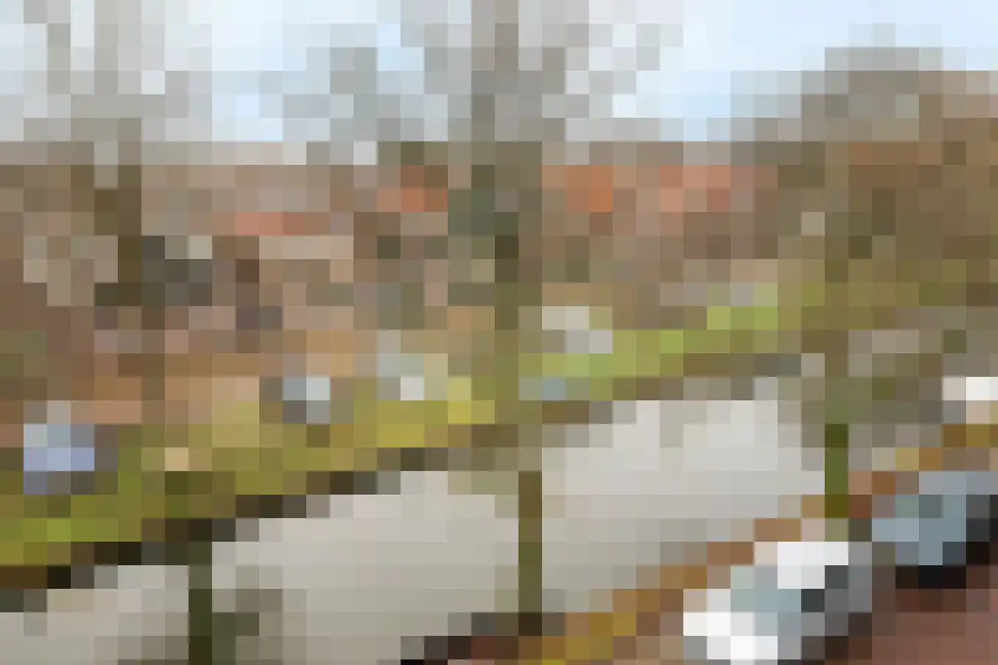 Voorhaven 41 d Edam thumbnail 43