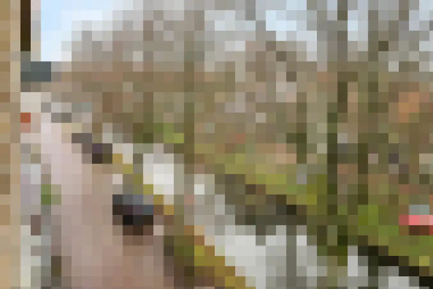 Voorhaven 41 d Edam thumbnail 43