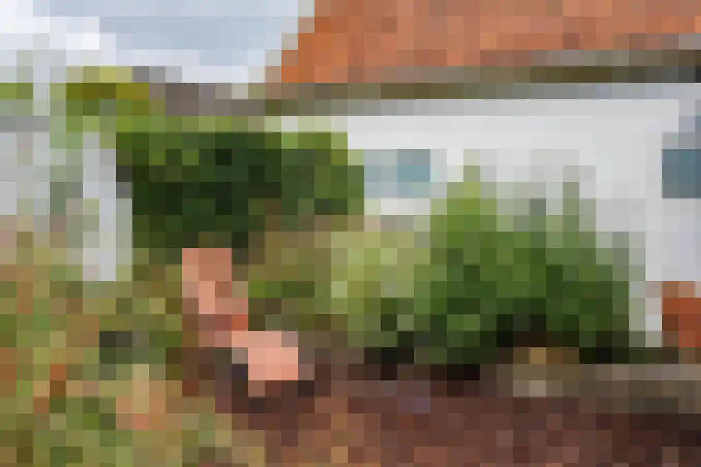 Voorhaven 44 Edam thumbnail 46