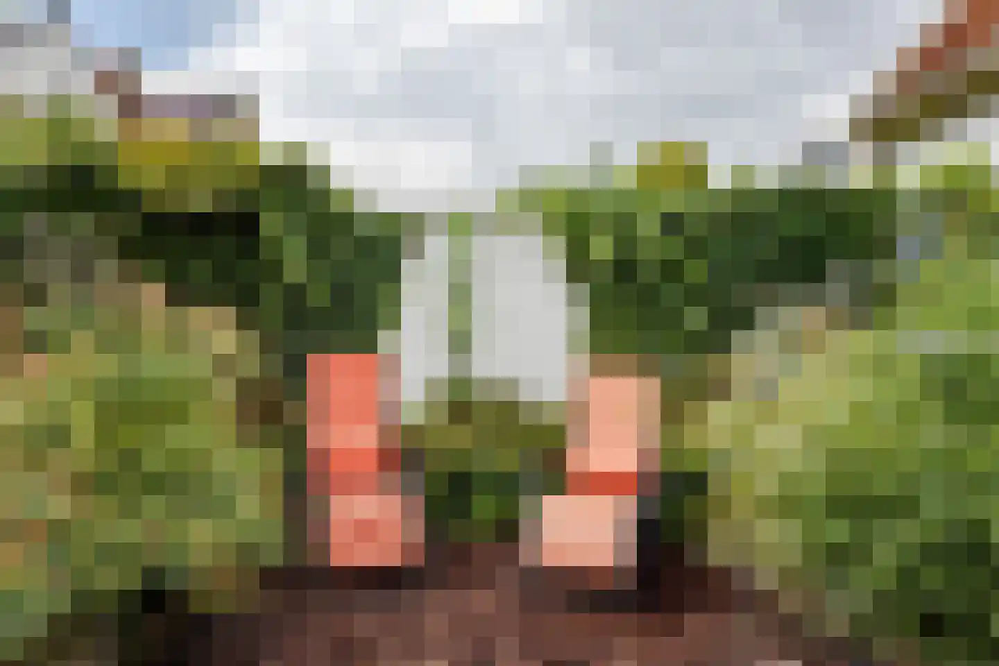 Voorhaven 44 Edam thumbnail 47