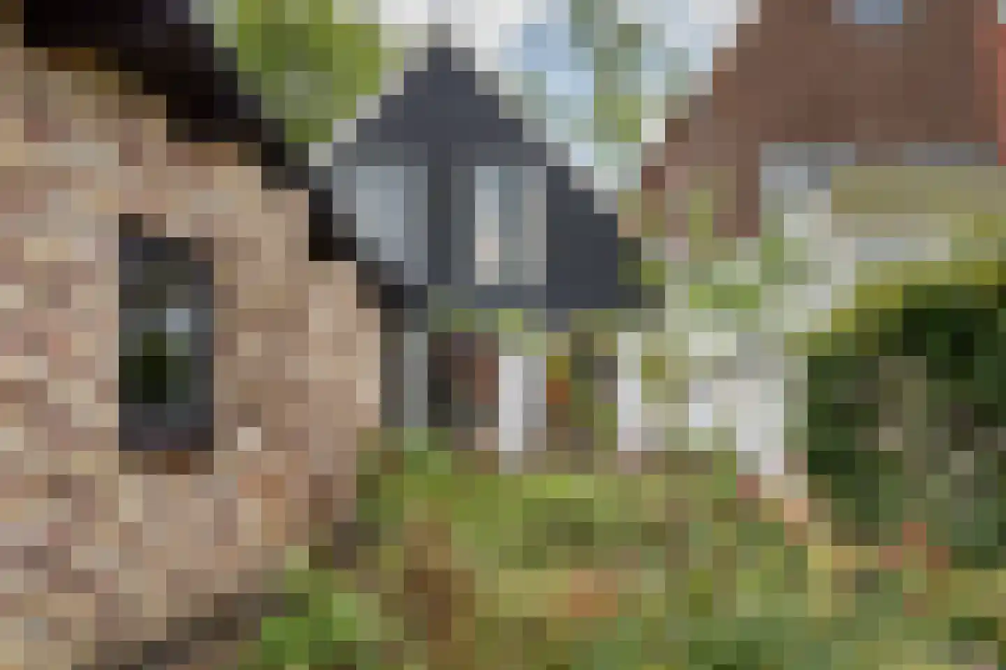 Voorhaven 44 Edam thumbnail 48