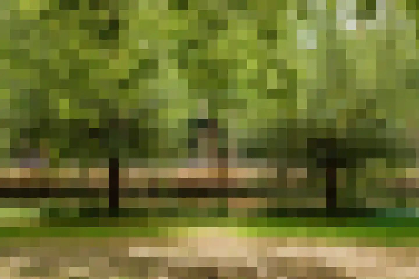 Voorhaven 44 Edam thumbnail 53