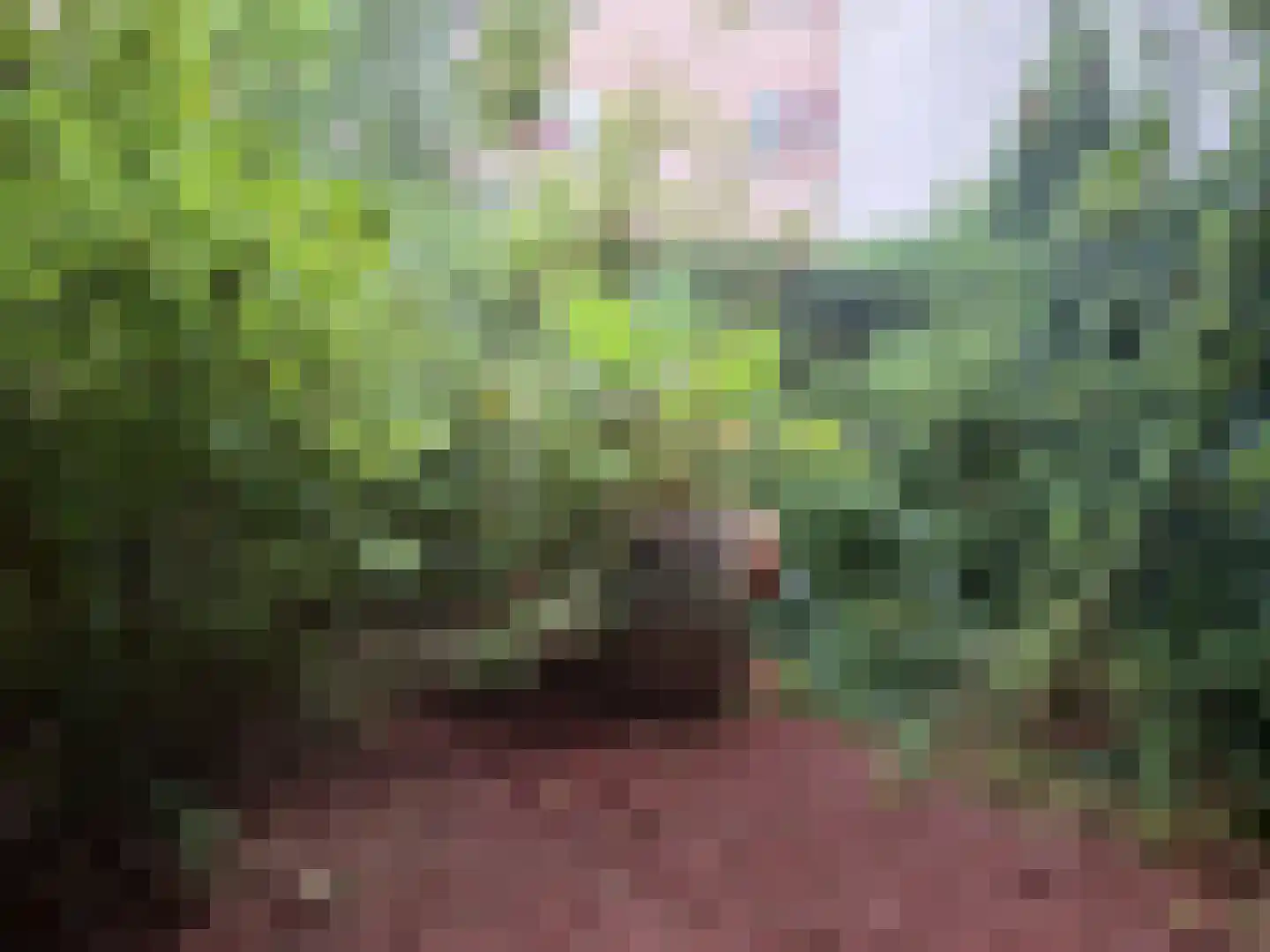 Voorhaven 5 A Rotterdam thumbnail 7