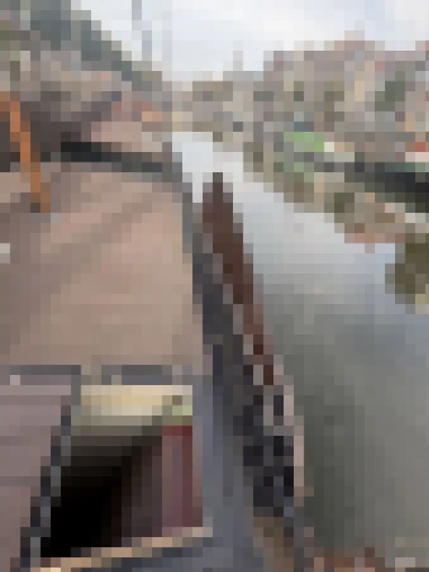 Voorhaven 53 Rotterdam thumbnail 12