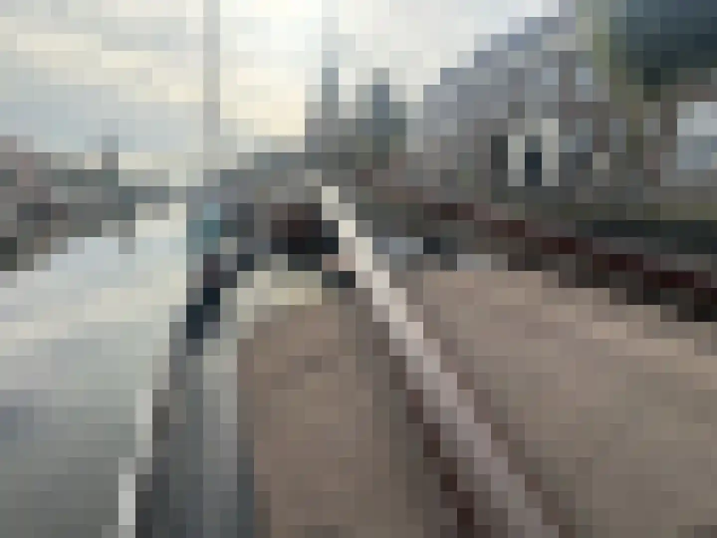 Voorhaven 53 Rotterdam thumbnail 6
