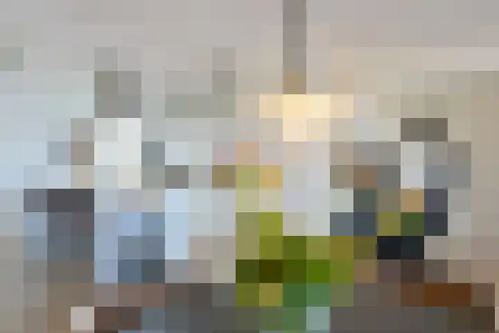 Voorhaven 91 B Rotterdam thumbnail 12
