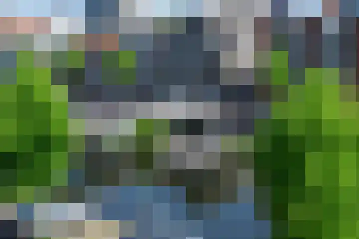Voorhaven 91 B Rotterdam thumbnail 23