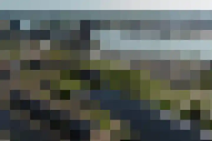 Voorhaven 91 B Rotterdam thumbnail 38