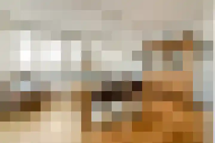 Voorhavenkwartier 25 Sassenheim thumbnail 10