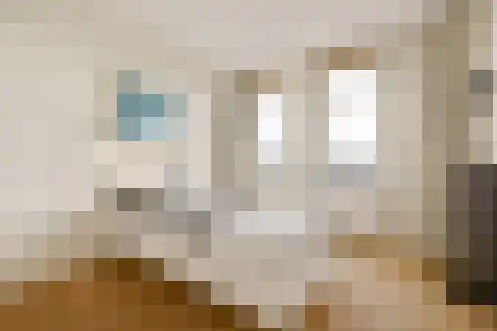 Voorhavenkwartier 25 Sassenheim thumbnail 18