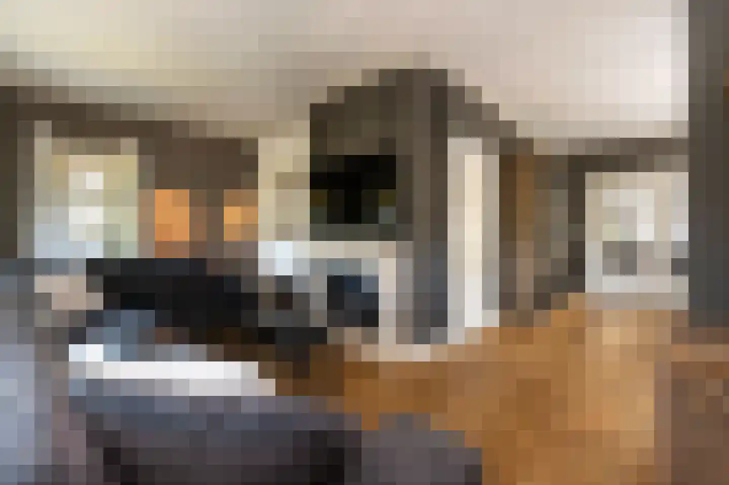 Voorhei 11 Veghel thumbnail 10