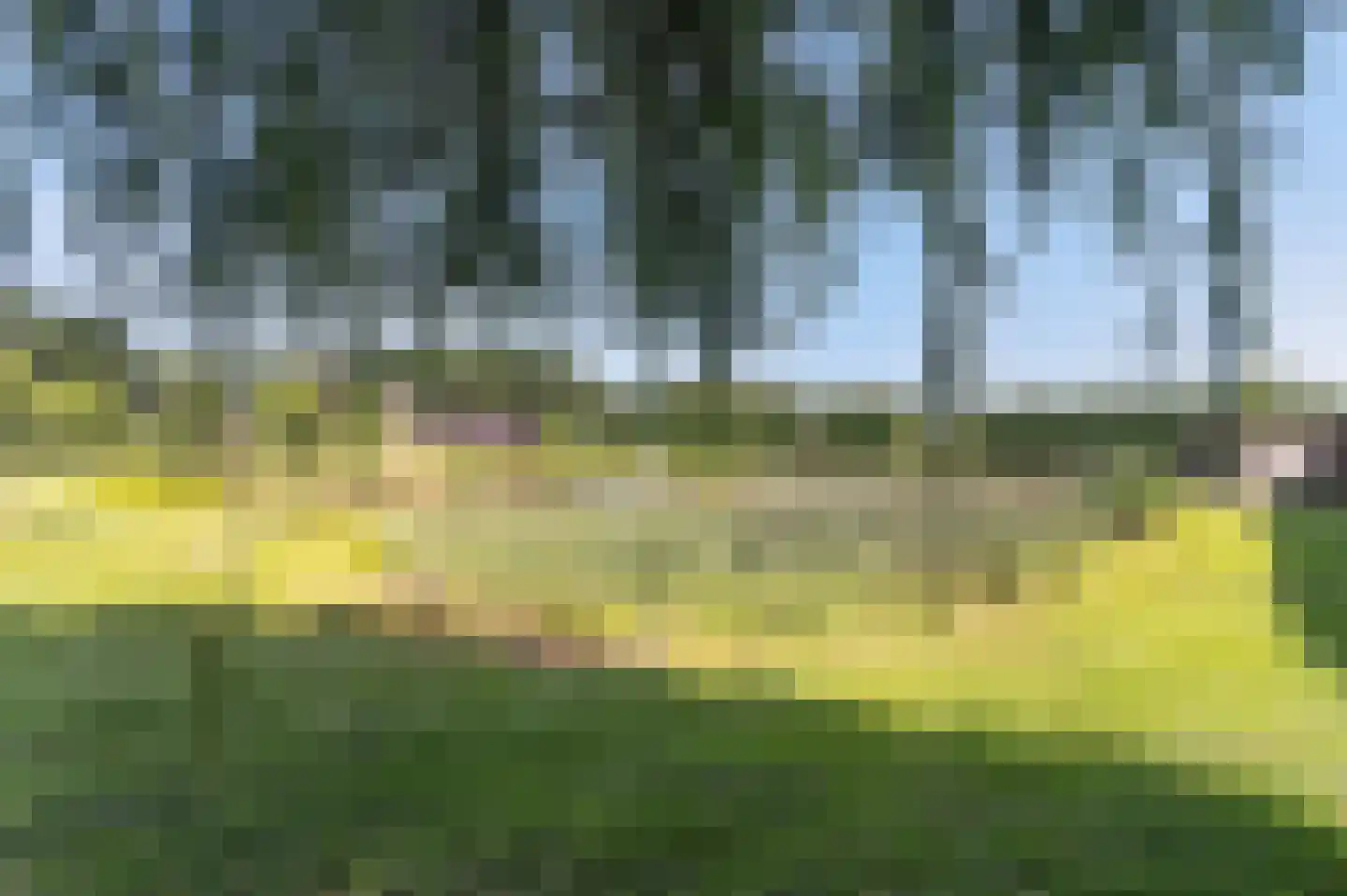 Voorhei 11 Veghel thumbnail 102