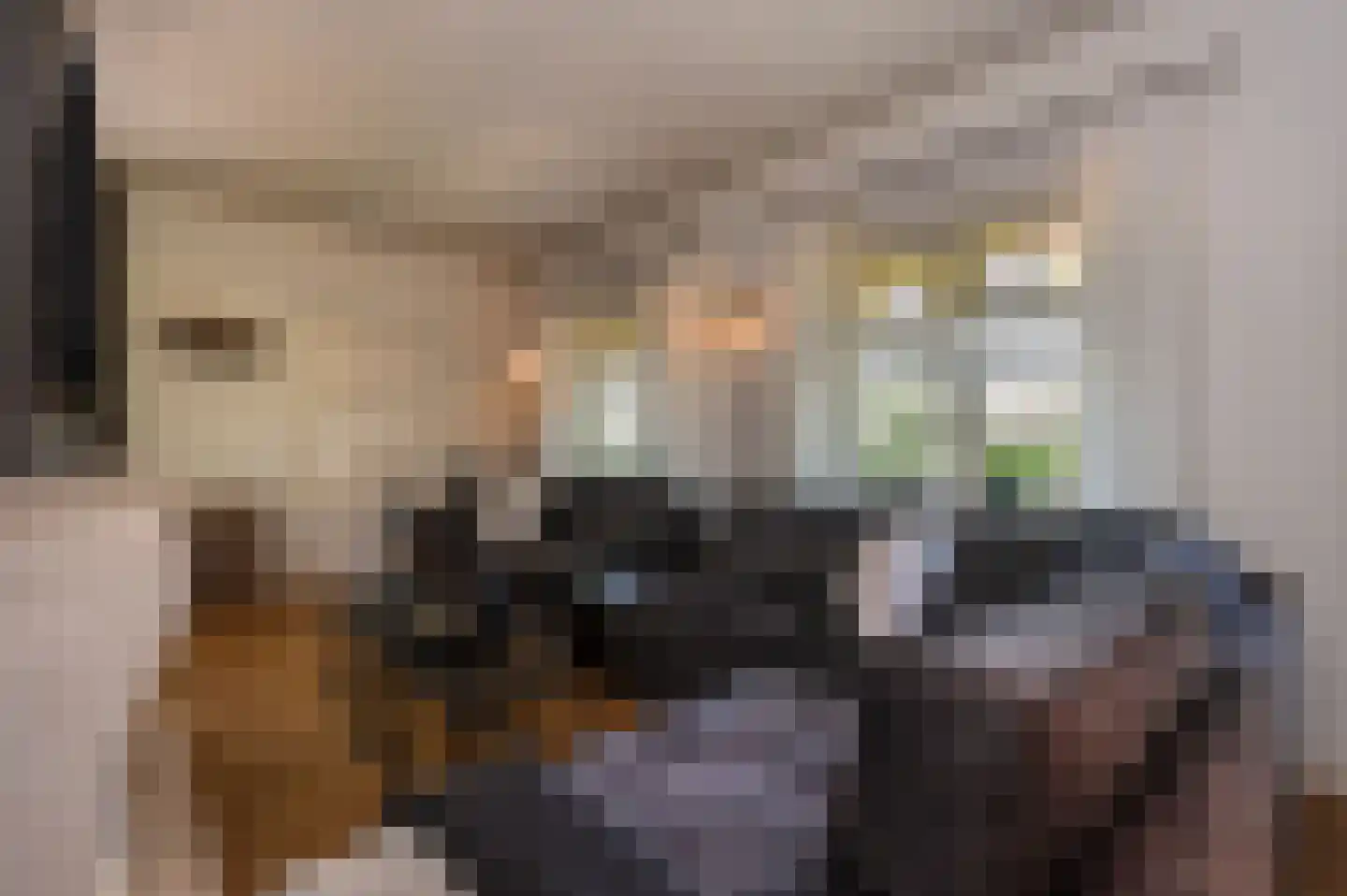 Voorhei 11 Veghel thumbnail 11