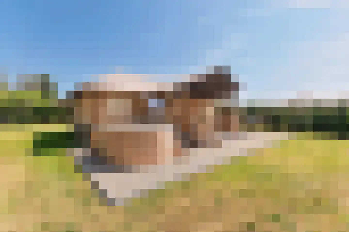 Voorhei 11 Veghel thumbnail 110