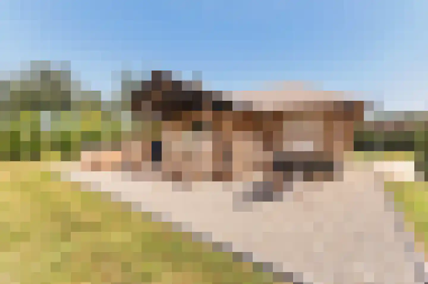 Voorhei 11 Veghel thumbnail 111