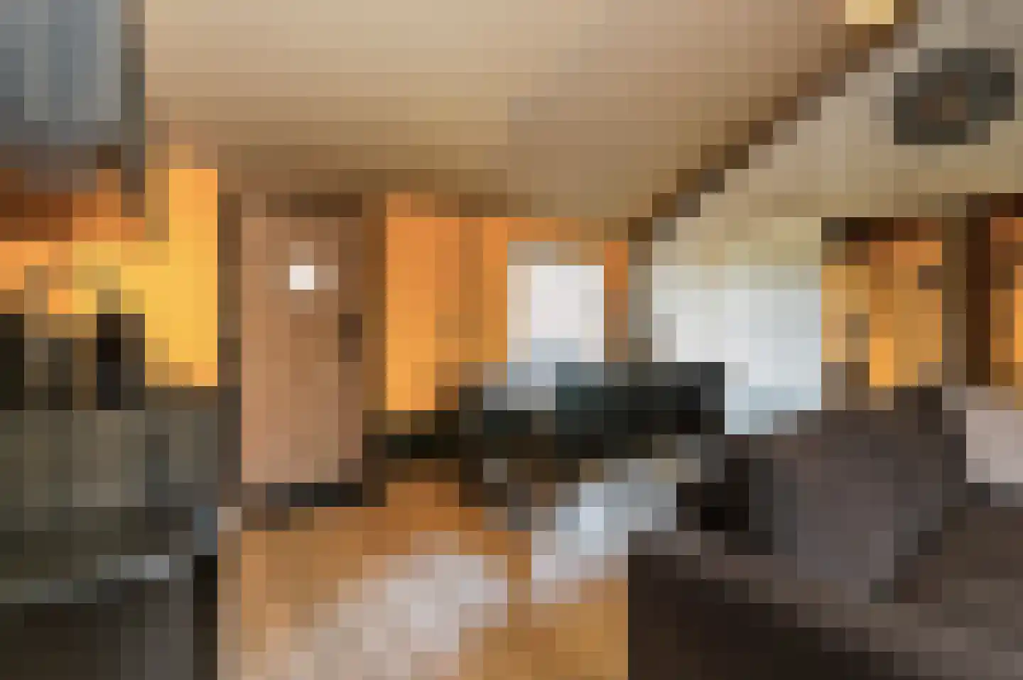 Voorhei 11 Veghel thumbnail 115
