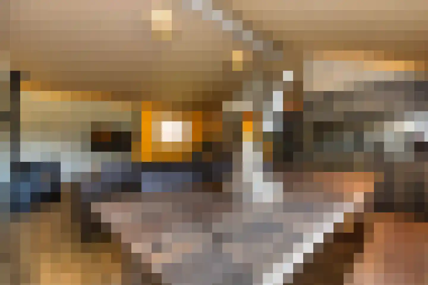 Voorhei 11 Veghel thumbnail 117