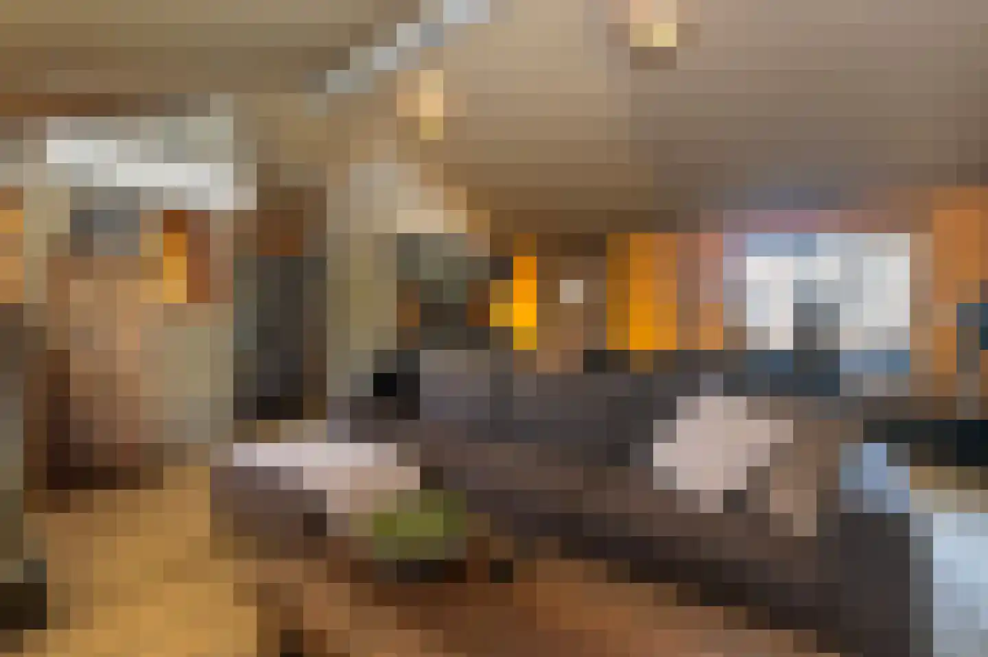 Voorhei 11 Veghel thumbnail 119