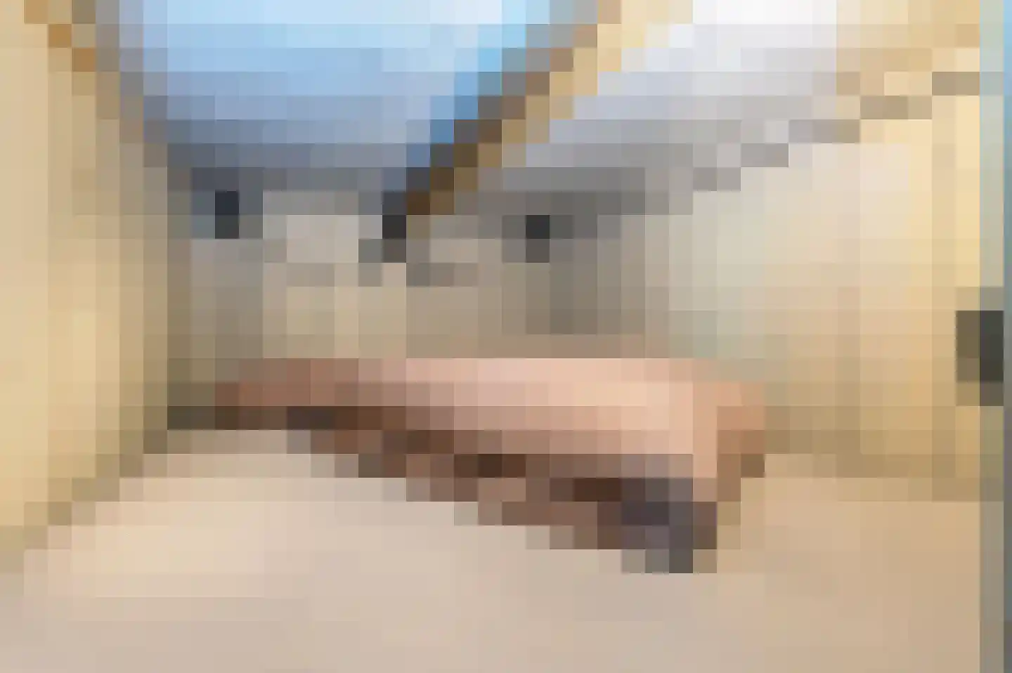 Voorhei 11 Veghel thumbnail 126