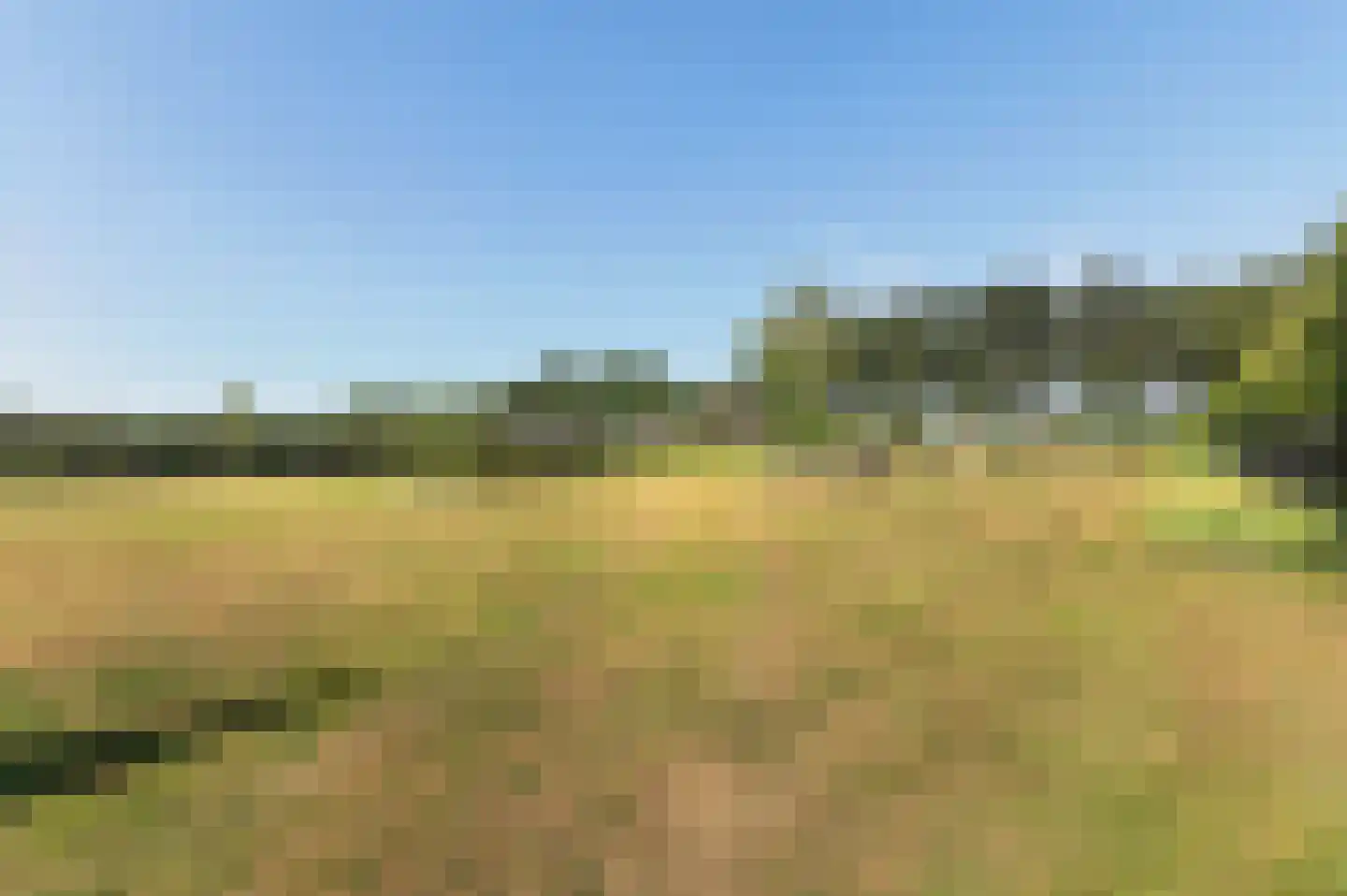 Voorhei 11 Veghel thumbnail 131