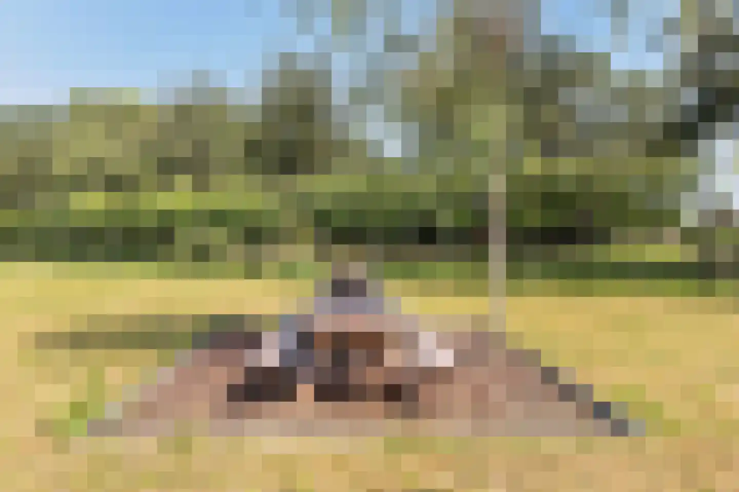 Voorhei 11 Veghel thumbnail 133
