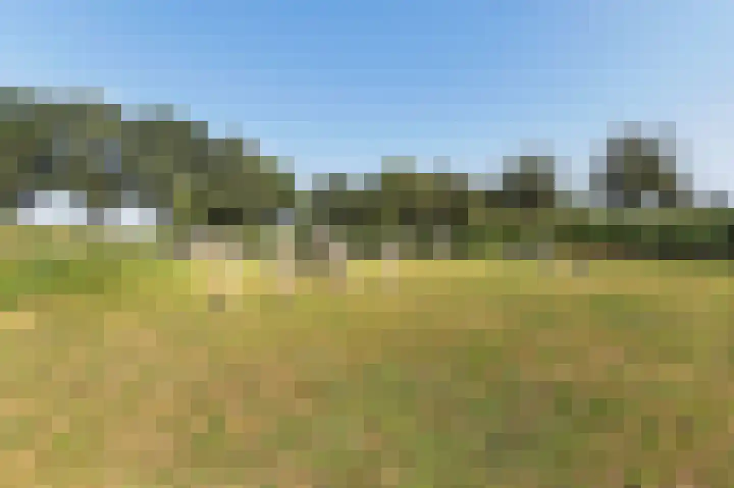 Voorhei 11 Veghel thumbnail 134