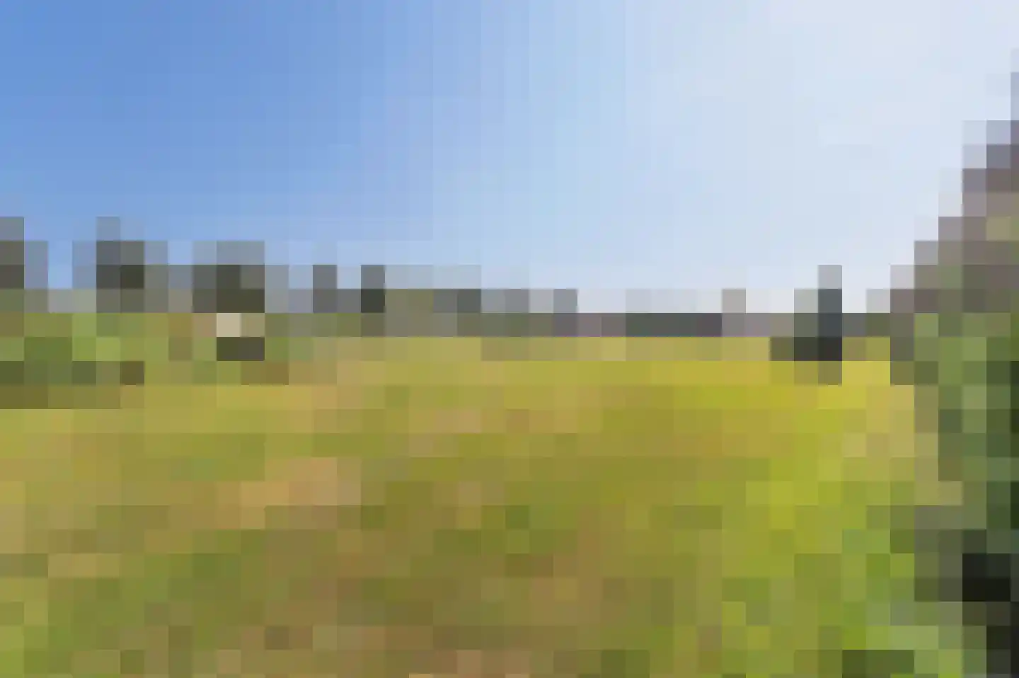 Voorhei 11 Veghel thumbnail 135