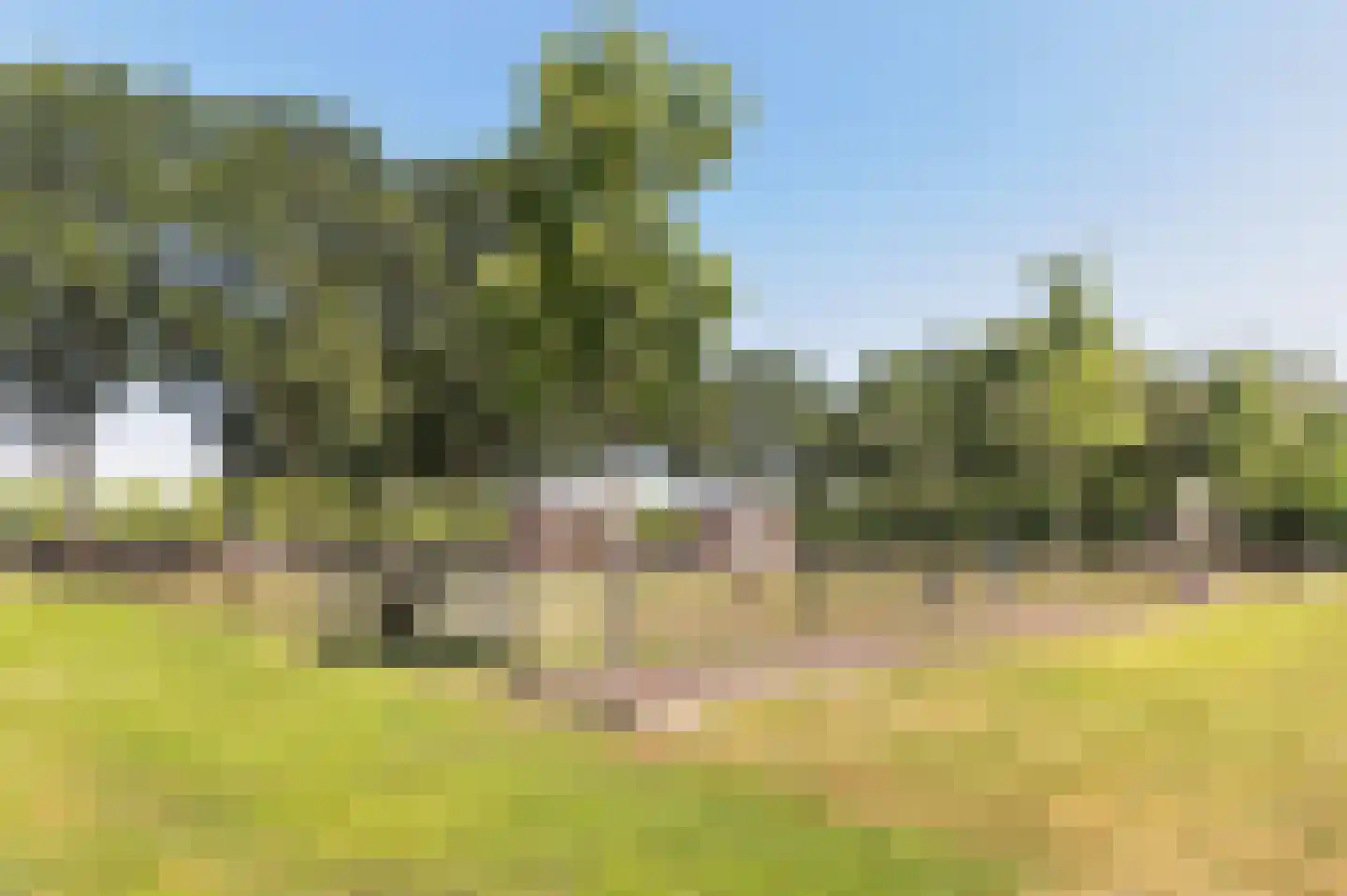 Voorhei 11 Veghel thumbnail 136