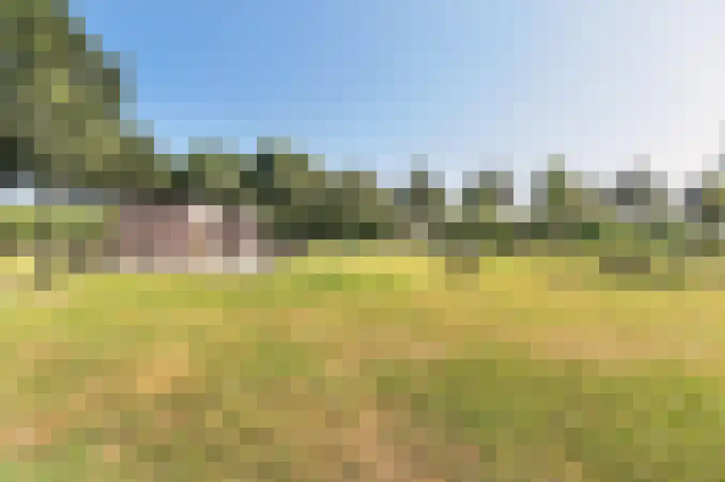 Voorhei 11 Veghel thumbnail 137