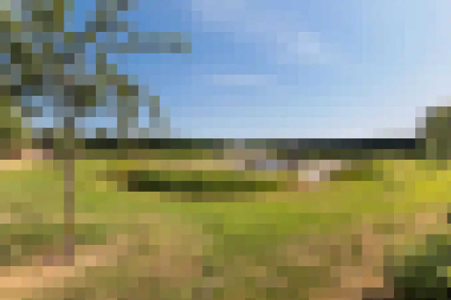 Voorhei 11 Veghel foto 2