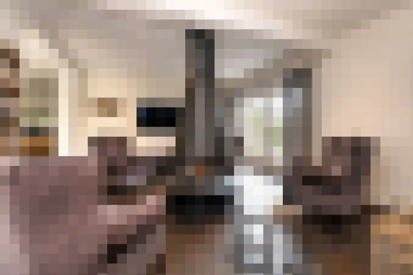Voorhei 11 Veghel thumbnail 20