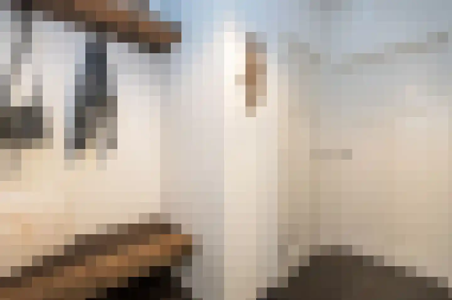 Voorhei 11 Veghel thumbnail 21