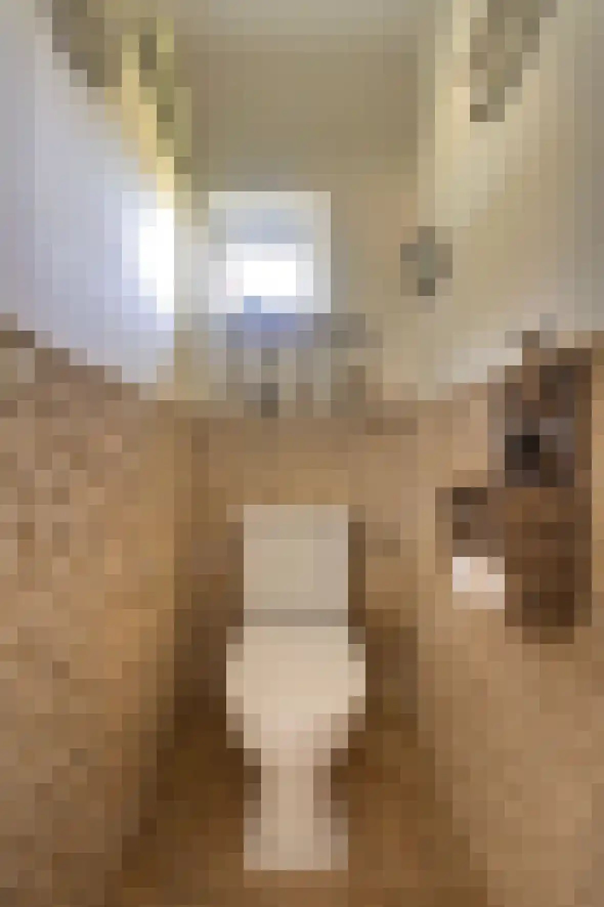 Voorhei 11 Veghel thumbnail 22