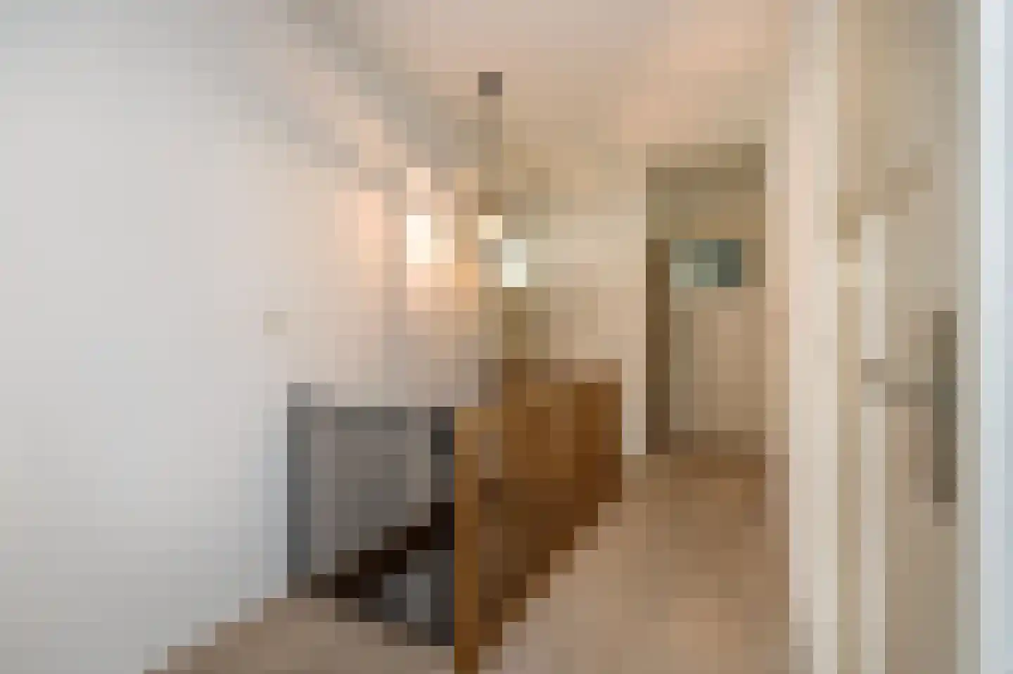 Voorhei 11 Veghel thumbnail 27